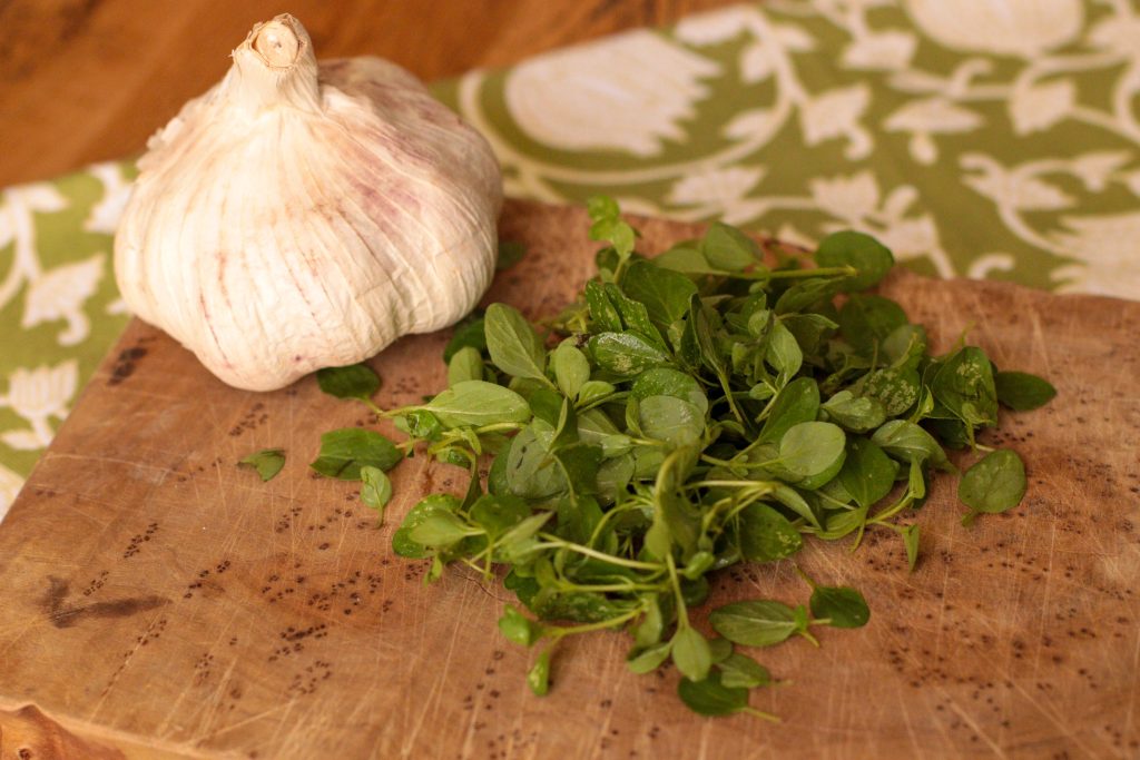 Garlic and fresh oregano on a wooden chopping board, ingredients for apple cider and herb vinaigrette