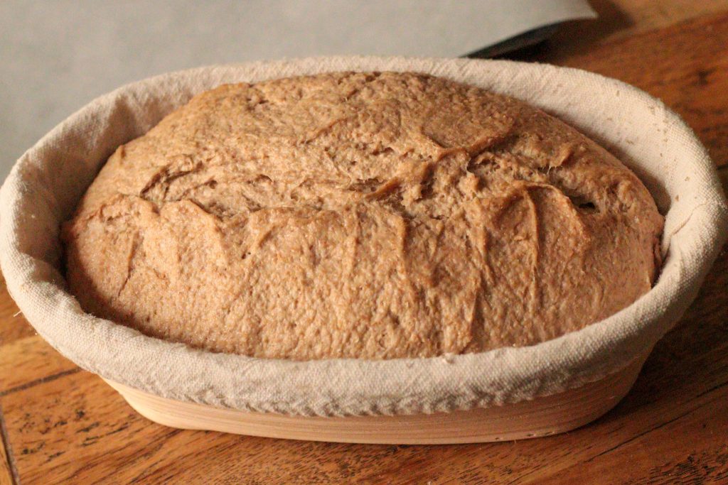 artisan sourdough bread shaped and in a banneton basket
